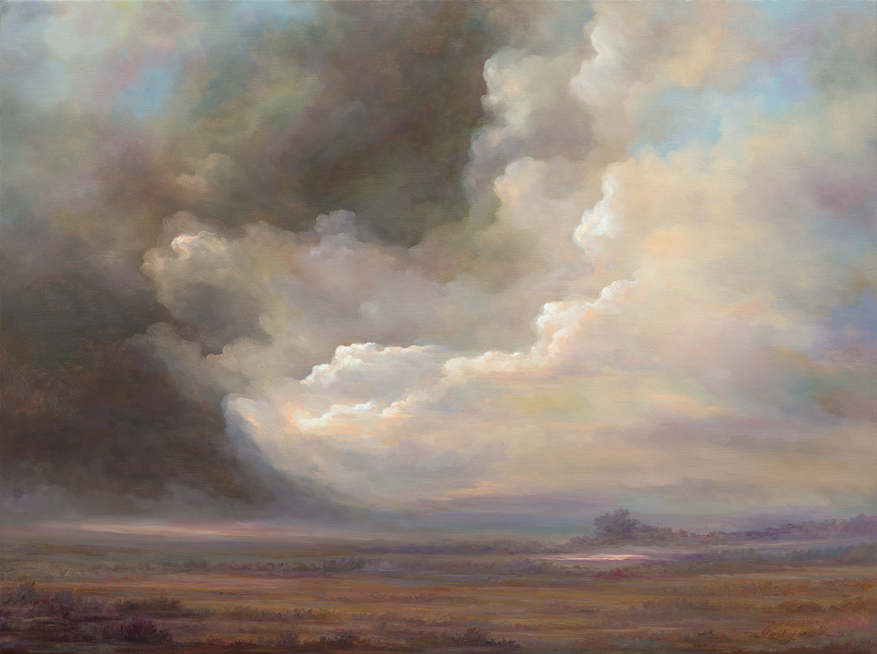Approaching Storm over Savannah's Prairie